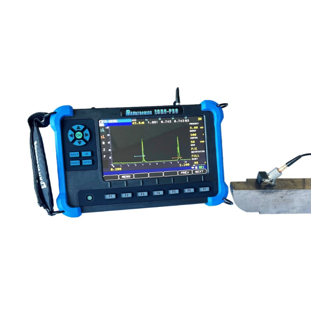 Danatronics Echo Pro