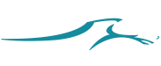 Troy-Met Footer Logo